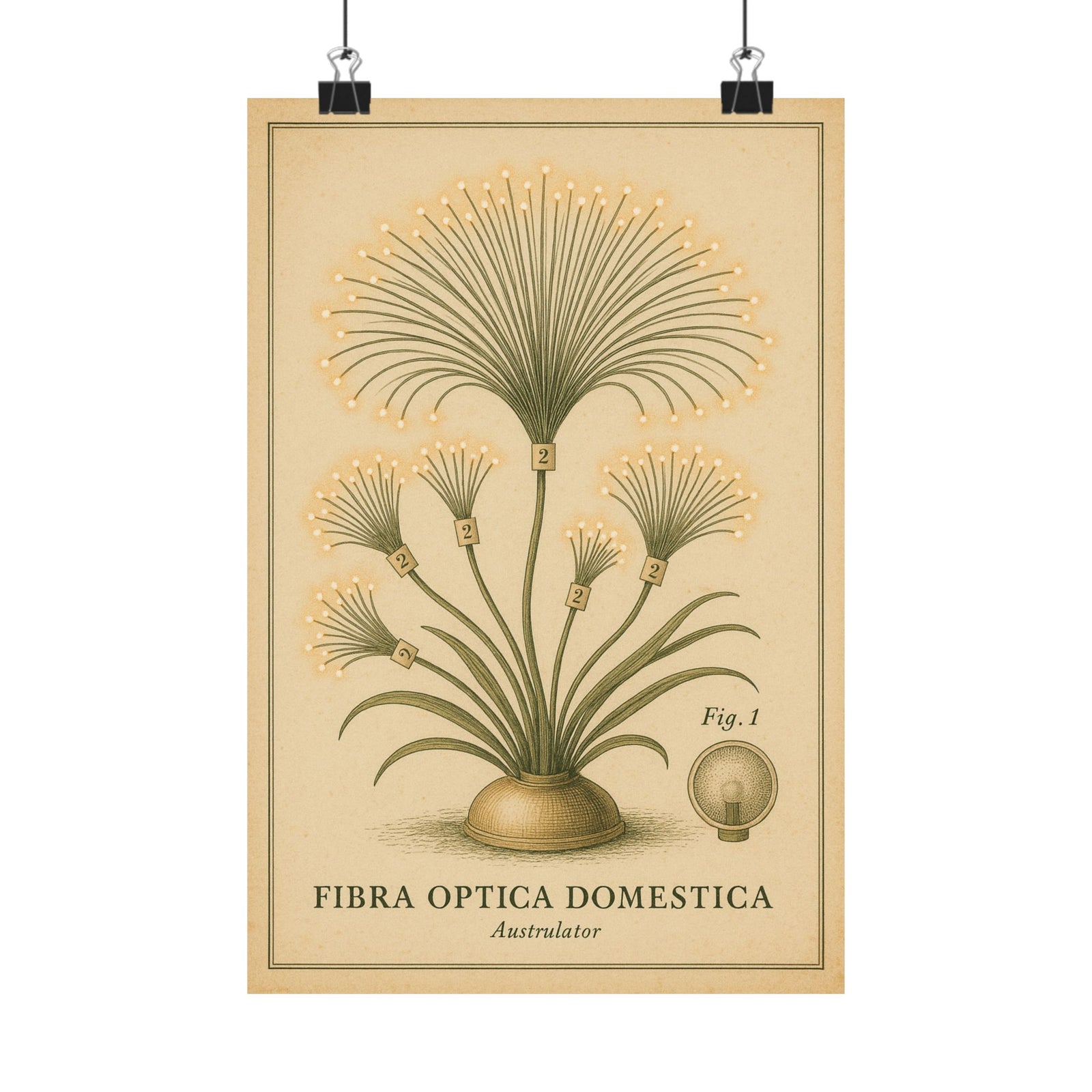 Fiber-Optic Lamp Botanical Art Print Poster, Retro Tech Specimen Plate