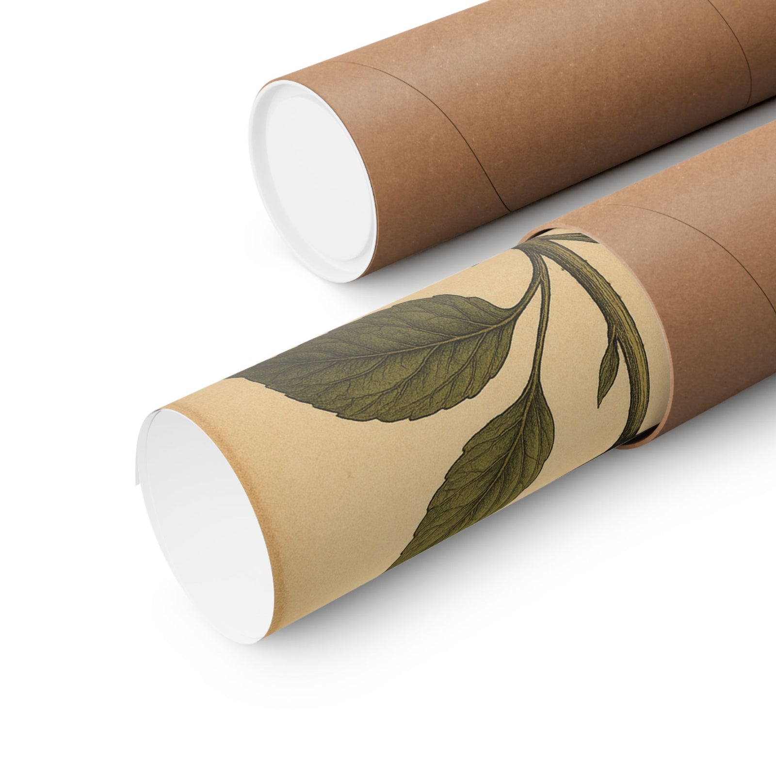 Vinyl Bloom Botanical Art Print Poster, Record Grooves As Petals
