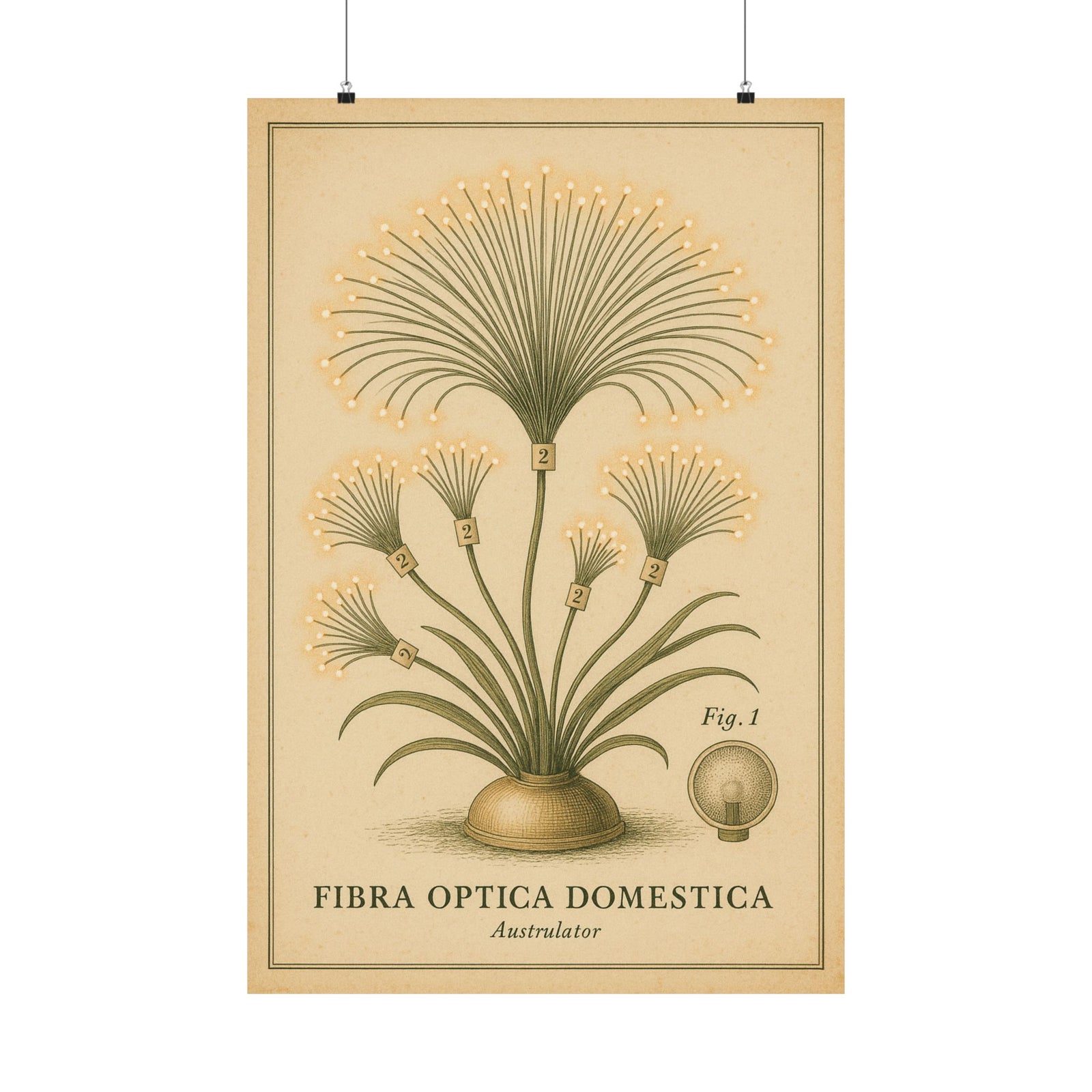 Fiber-Optic Lamp Botanical Art Print Poster, Retro Tech Specimen Plate