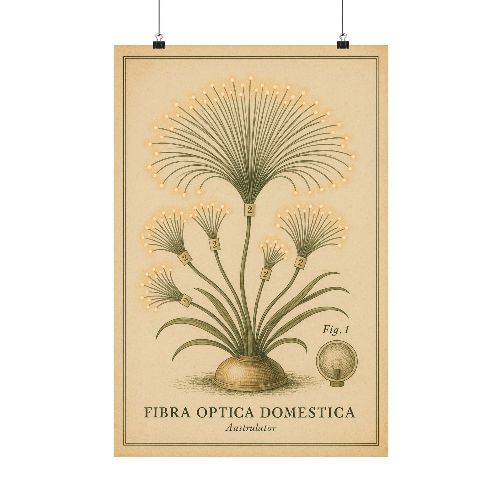 Fiber-Optic Lamp Botanical Art Print Poster, Retro Tech Specimen Plate