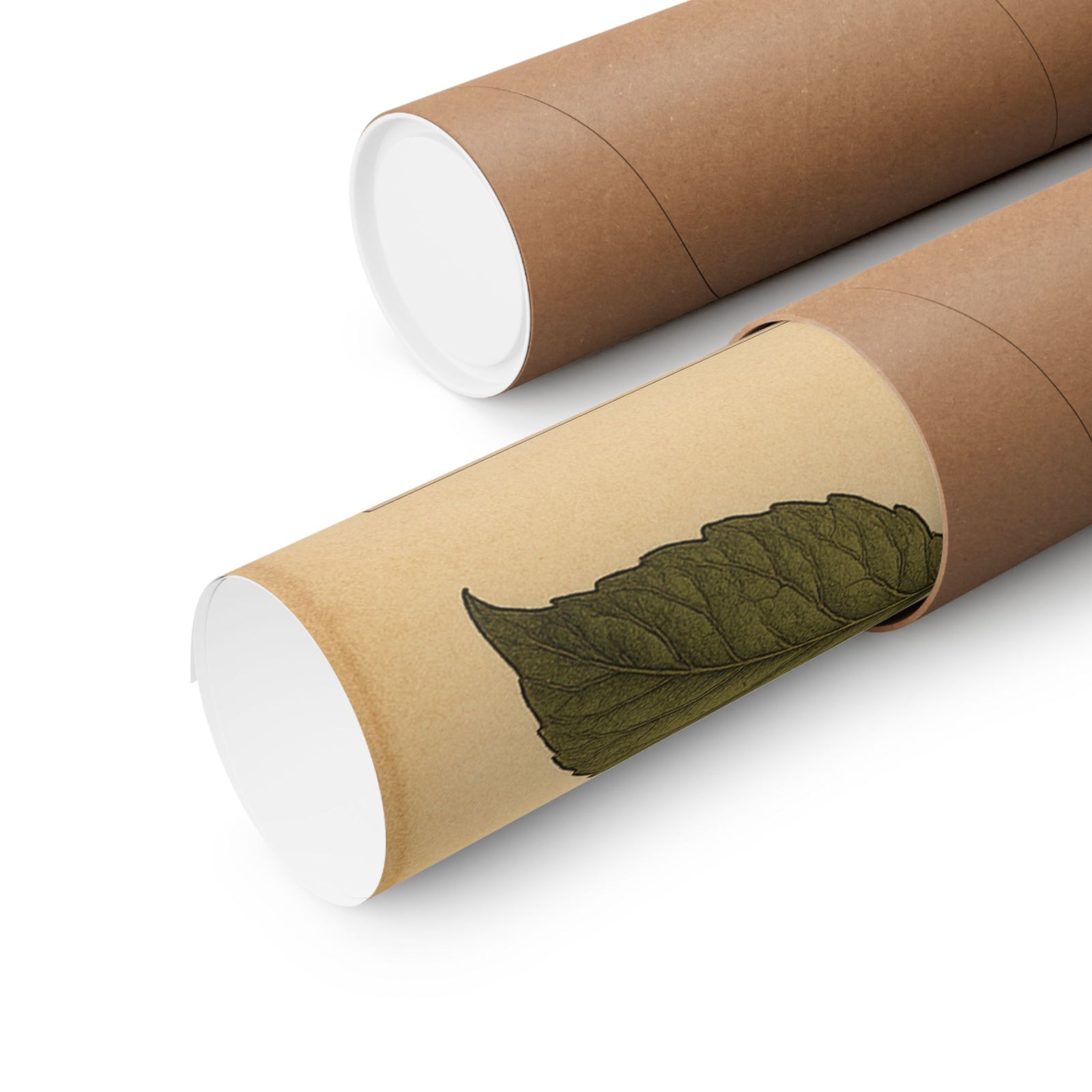 Vinyl Bloom Botanical Art Print Poster, Record Grooves As Petals