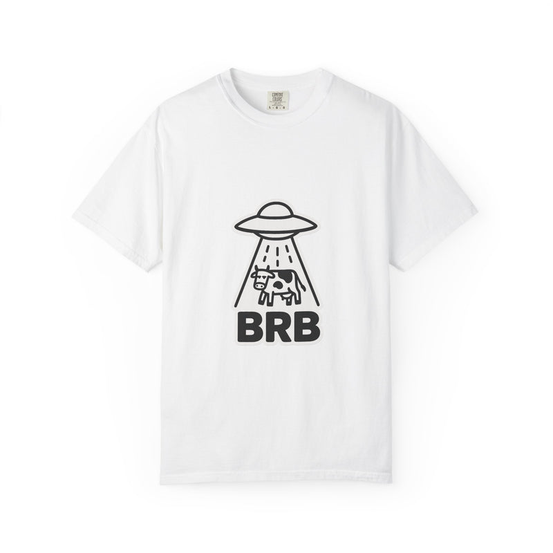 UFO Cow Abduction Graphic Tee, Deadpan BRB Meme