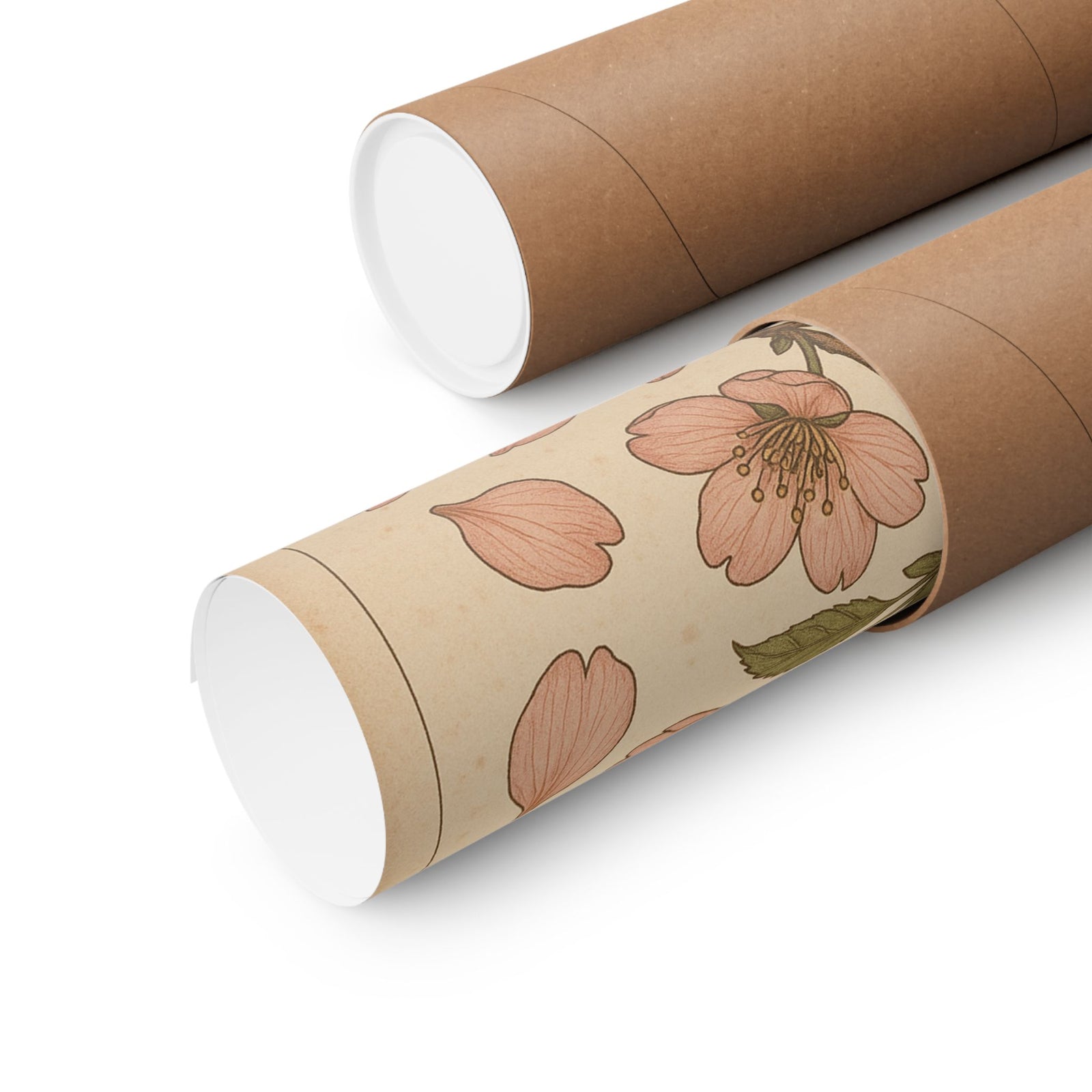 Sakura Blossom Botanical Art Print Poster, Vintage Japan Plant Plate