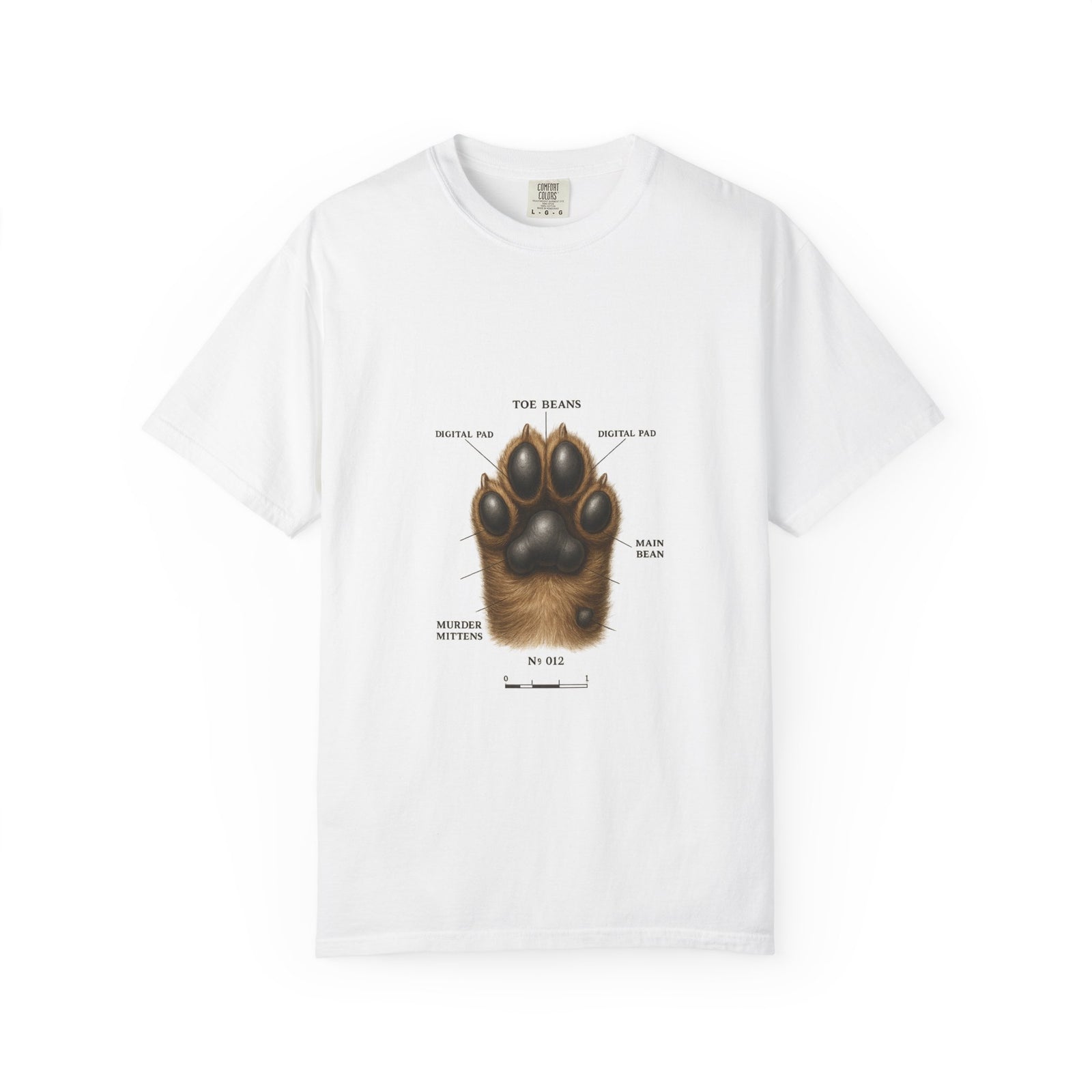 Paw Anatomy Chart Graphic Tee, Toe Beans Specimen Diagram